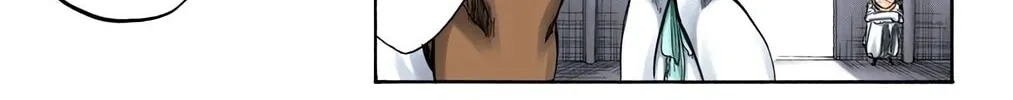 Read Bleach (Colored) chapter 250 image 29 on Lezhin