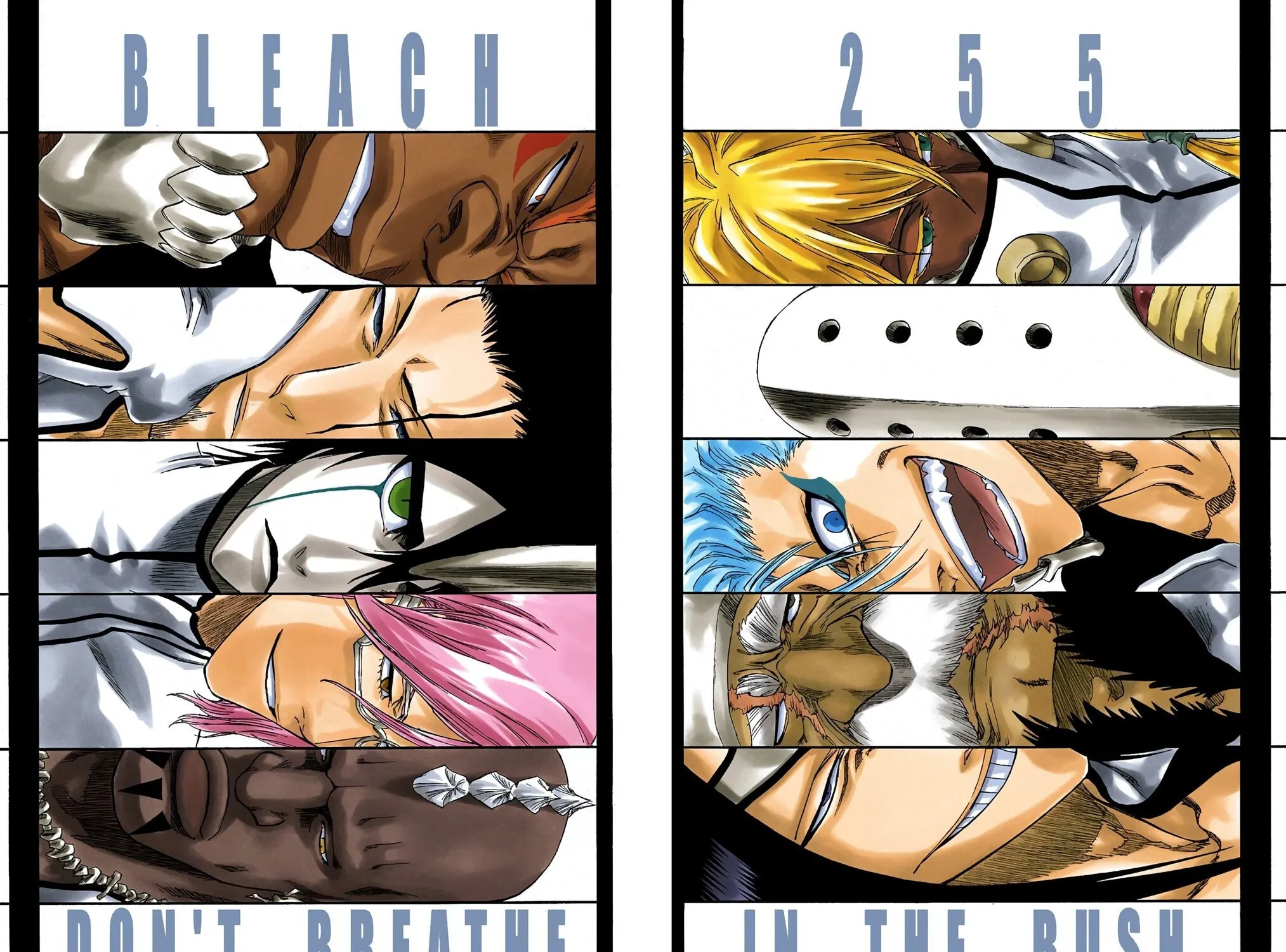Read Bleach (Colored) chapter 255 image 2 on Lezhin