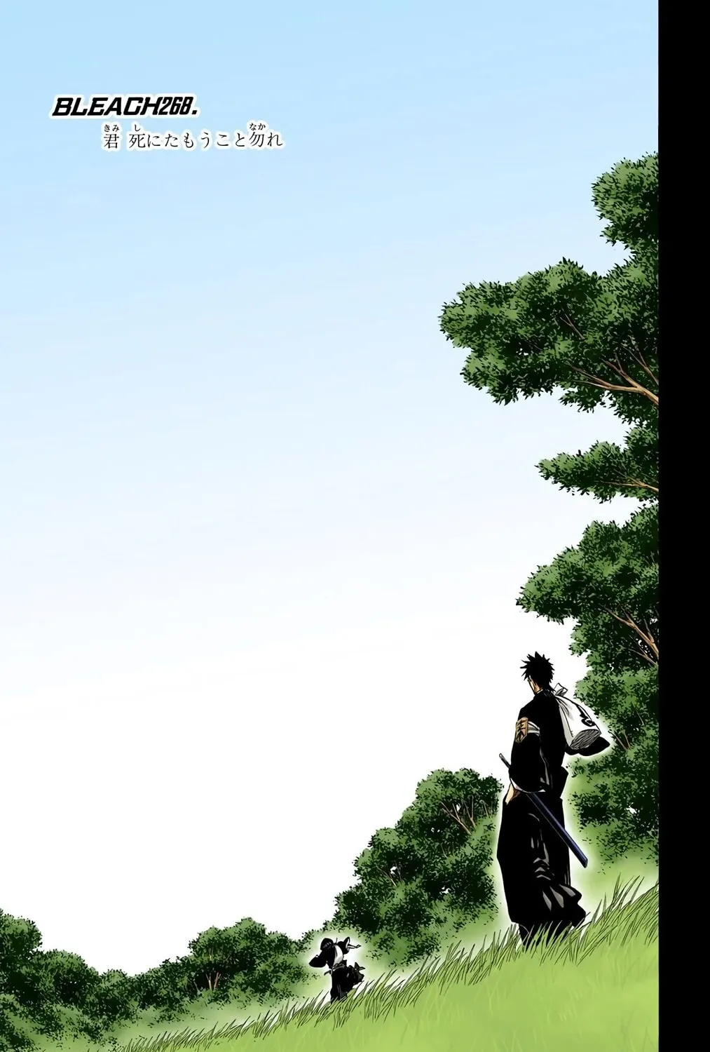 Read Bleach (Colored) chapter 268 image 8 on Lezhin