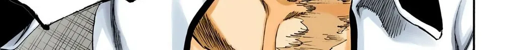 Read Bleach (Colored) chapter 273 image 21 on Lezhin