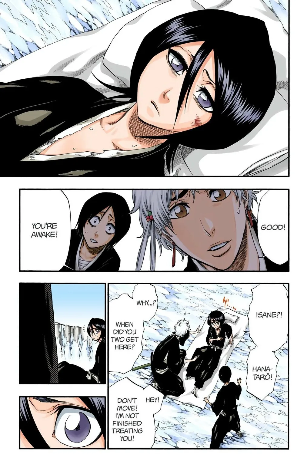Read Bleach (Colored) chapter 304 image 4 on Lezhin