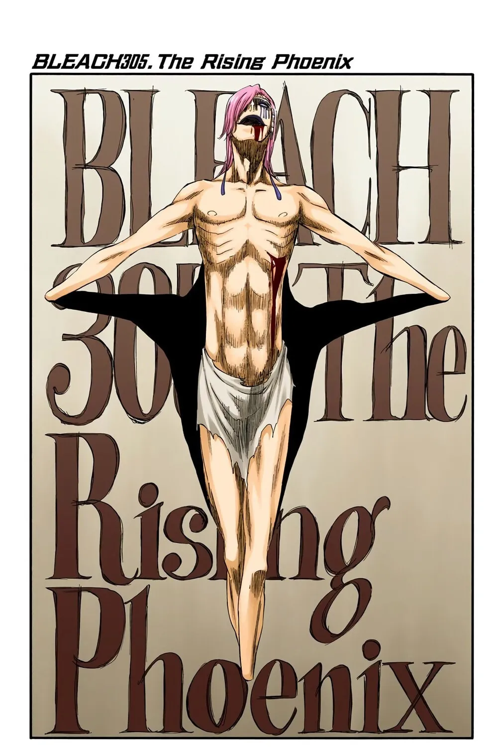 Read Bleach (Colored) chapter 305 image 6 on Lezhin