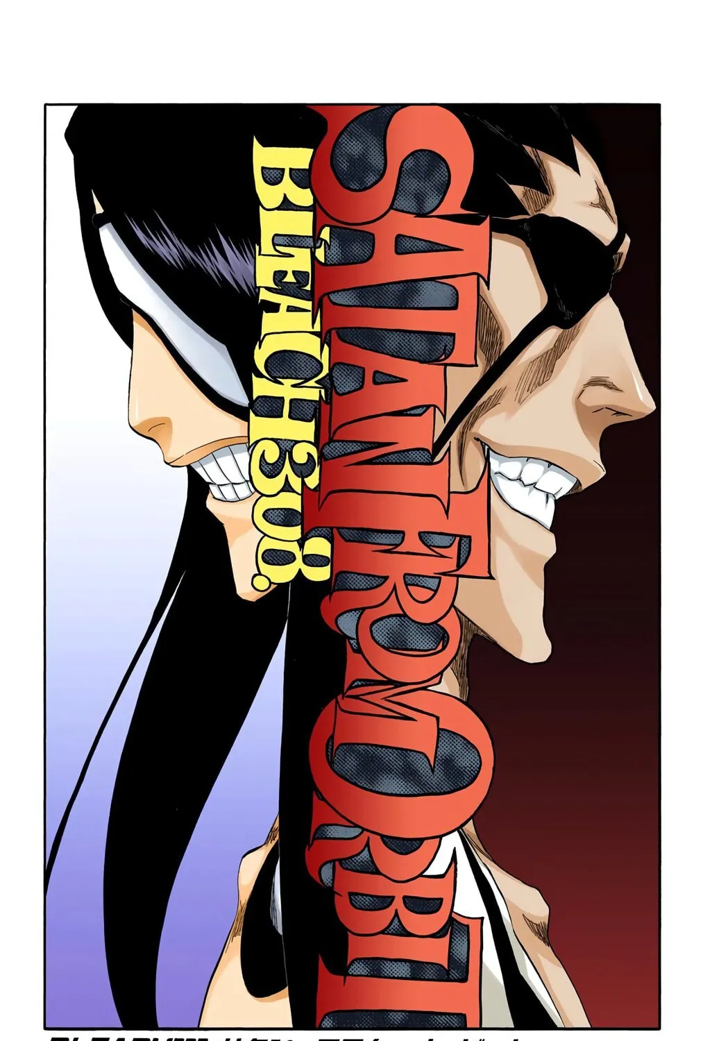 Read Bleach (Colored) chapter 308 image 12 on Lezhin