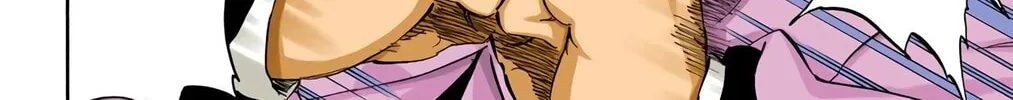 Read Bleach (Colored) chapter 315.1 image 15 on Lezhin