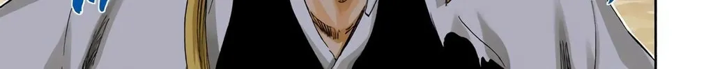 Read Bleach (Colored) chapter 315.2 image 27 on Lezhin