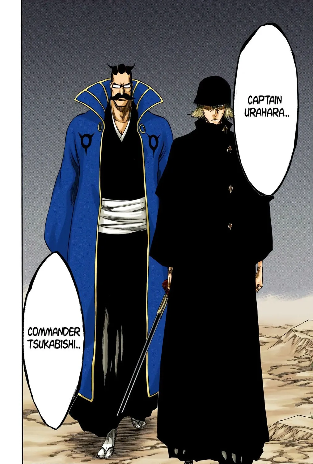 Read Bleach (Colored) chapter 315.3 image 2 on Lezhin