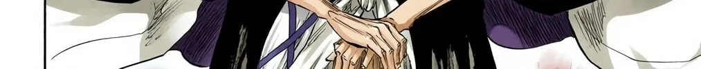 Read Bleach (Colored) chapter 315 image 13 on Lezhin