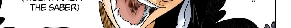 Read Bleach (Colored) chapter 333 image 13 on Lezhin