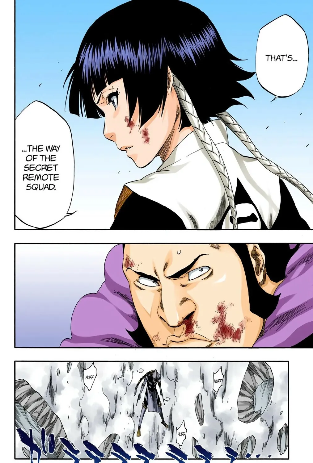 Read Bleach (Colored) chapter 333 image 6 on Lezhin