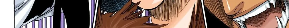 Read Bleach (Colored) chapter 339 image 3 on Lezhin