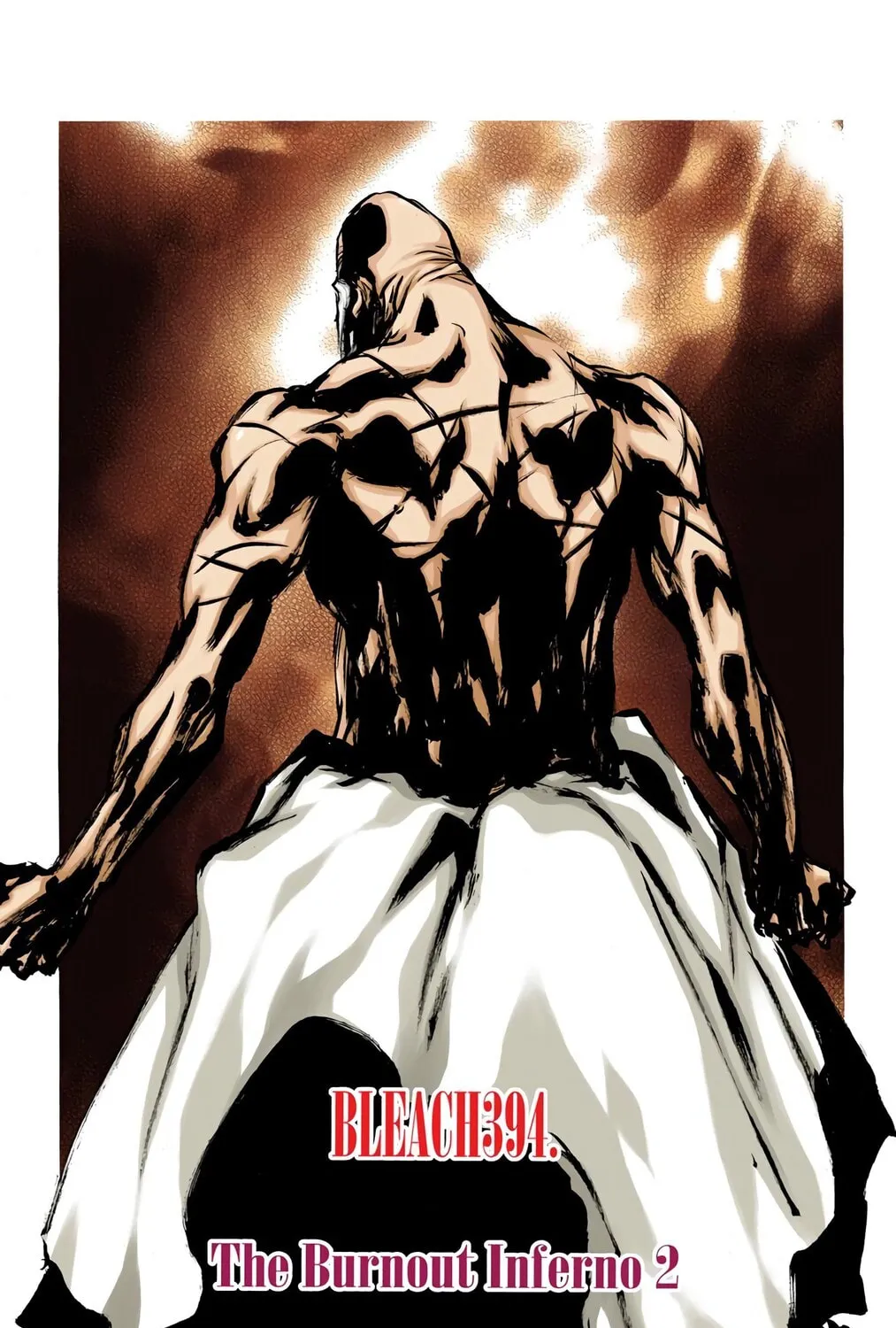 Read Bleach (Colored) chapter 394 image 6 on Lezhin