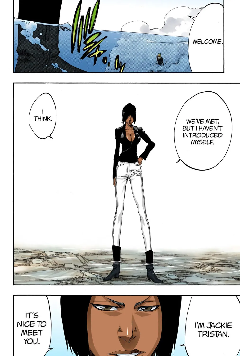 Read Bleach (Colored) chapter 441 image 34 on Lezhin