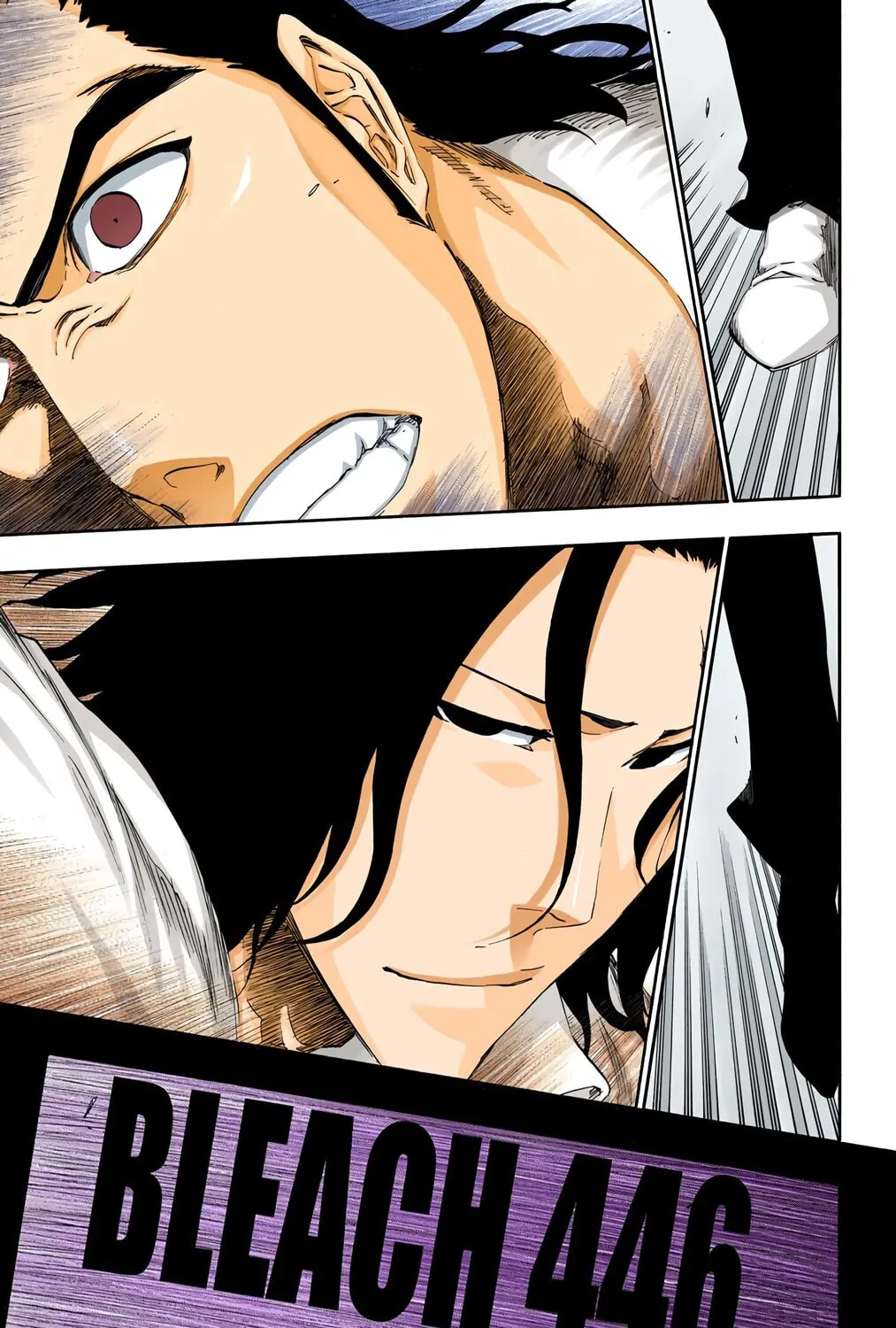 Read Bleach (Colored) chapter 446 image 12 on Lezhin