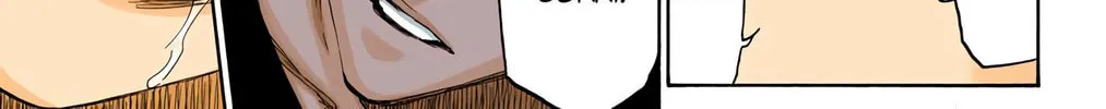Read Bleach (Colored) chapter 454 image 9 on Lezhin