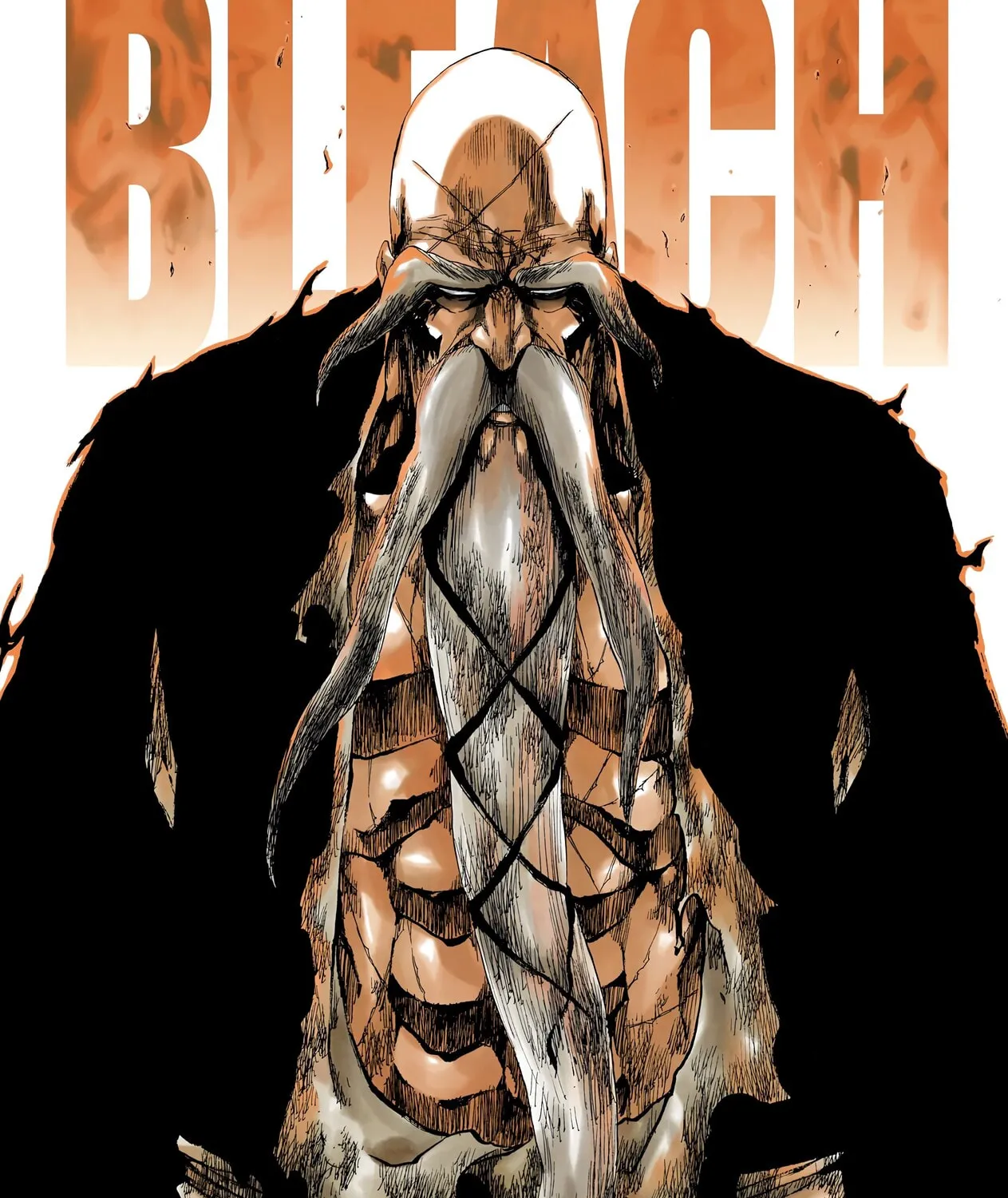 Read Bleach (Colored) chapter 505 image 2 on Lezhin