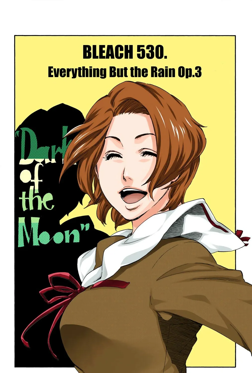 Read Bleach (Colored) chapter 530 image 6 on Lezhin