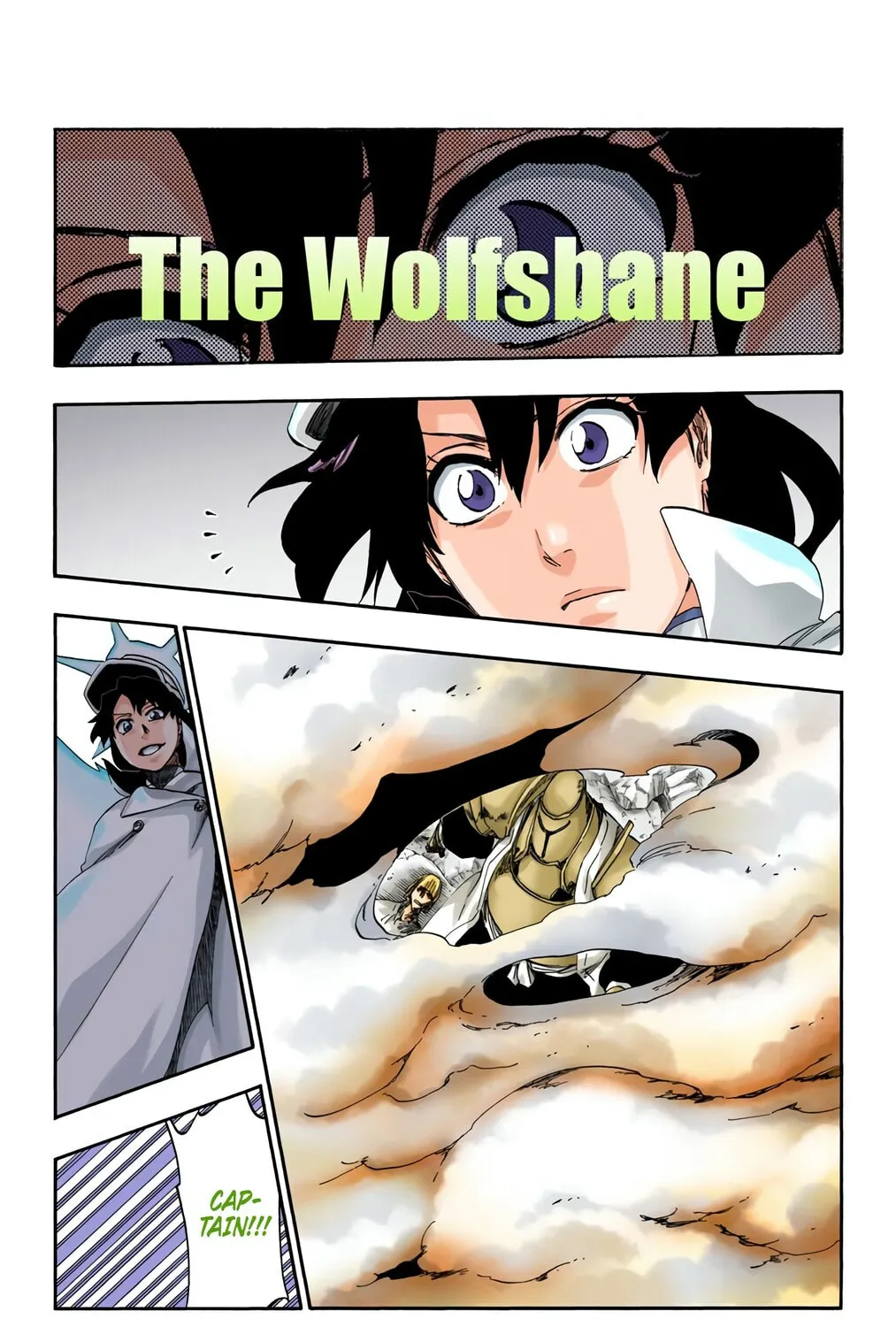 Read Bleach (Colored) chapter 556 image 6 on Lezhin