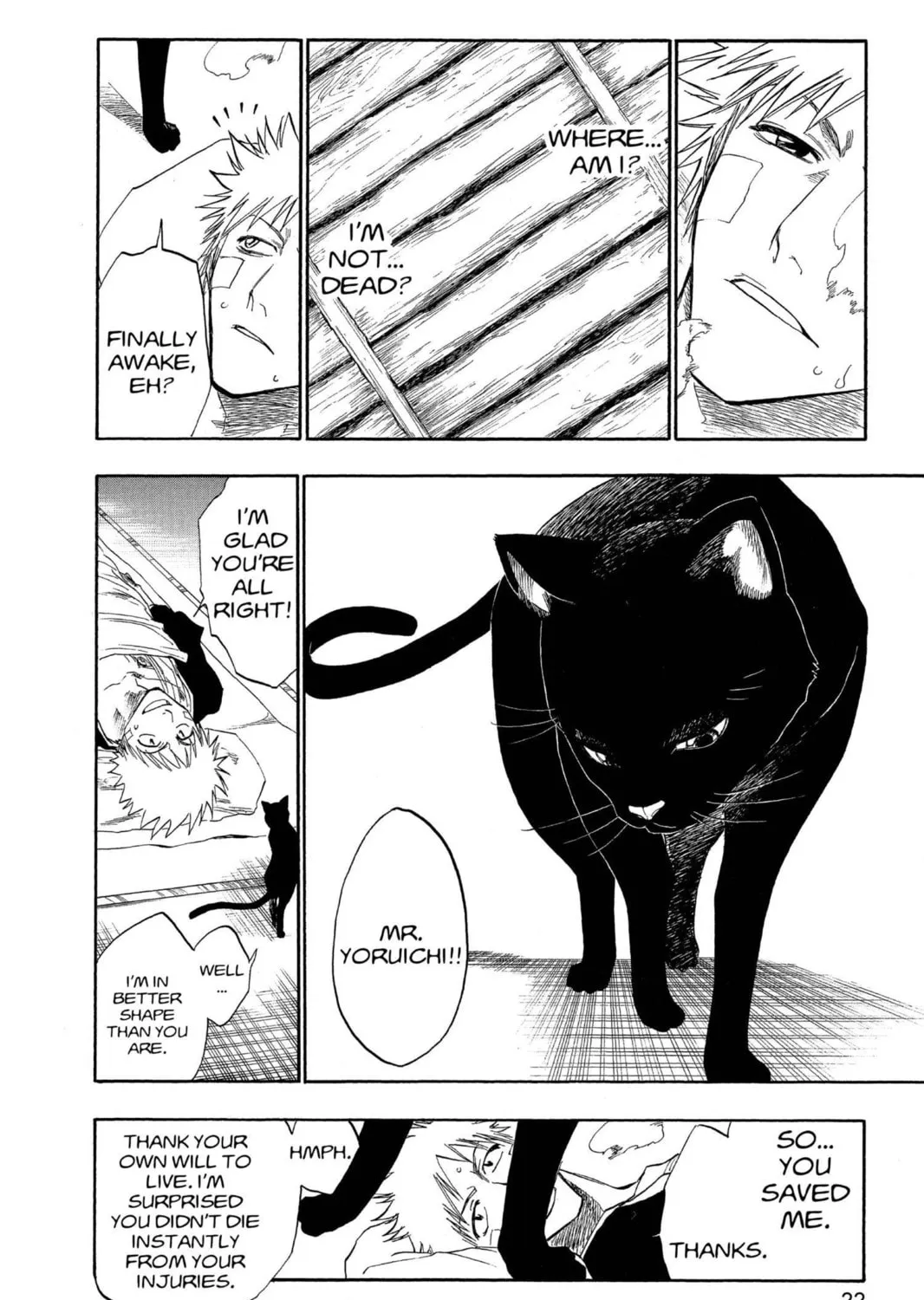 Read Bleach chapter 116 image 30 on Lezhin
