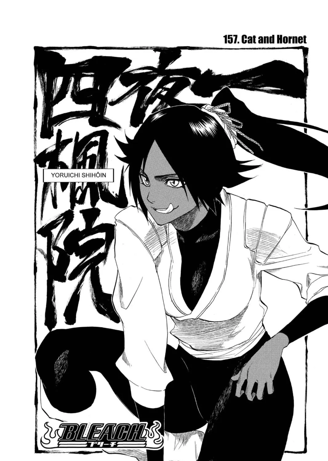 Read Bleach chapter 157 image 10 on Lezhin
