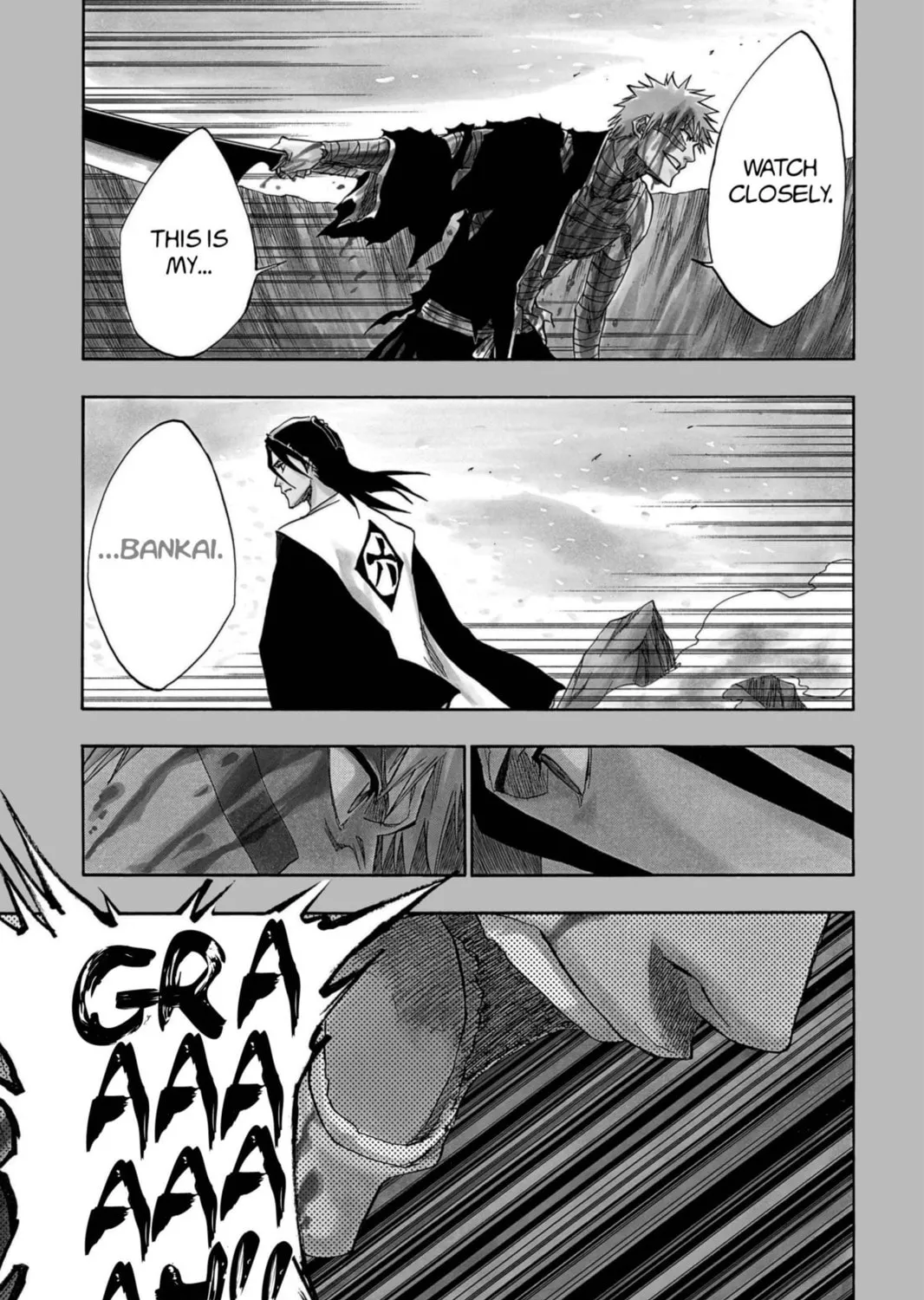 Read Bleach chapter 162 image 4 on Lezhin