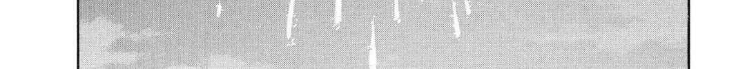 Read Bleach chapter 168.5 image 11 on Lezhin