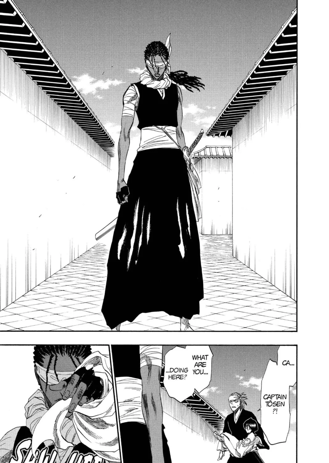 Read Bleach chapter 171 image 28 on Lezhin