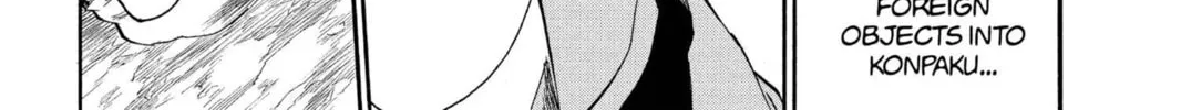 Read Bleach chapter 176 image 33 on Lezhin