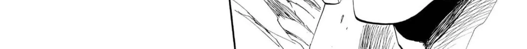 Read Bleach chapter 205 image 29 on Lezhin