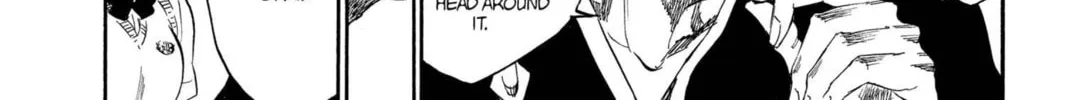 Read Bleach chapter 225 image 27 on Lezhin