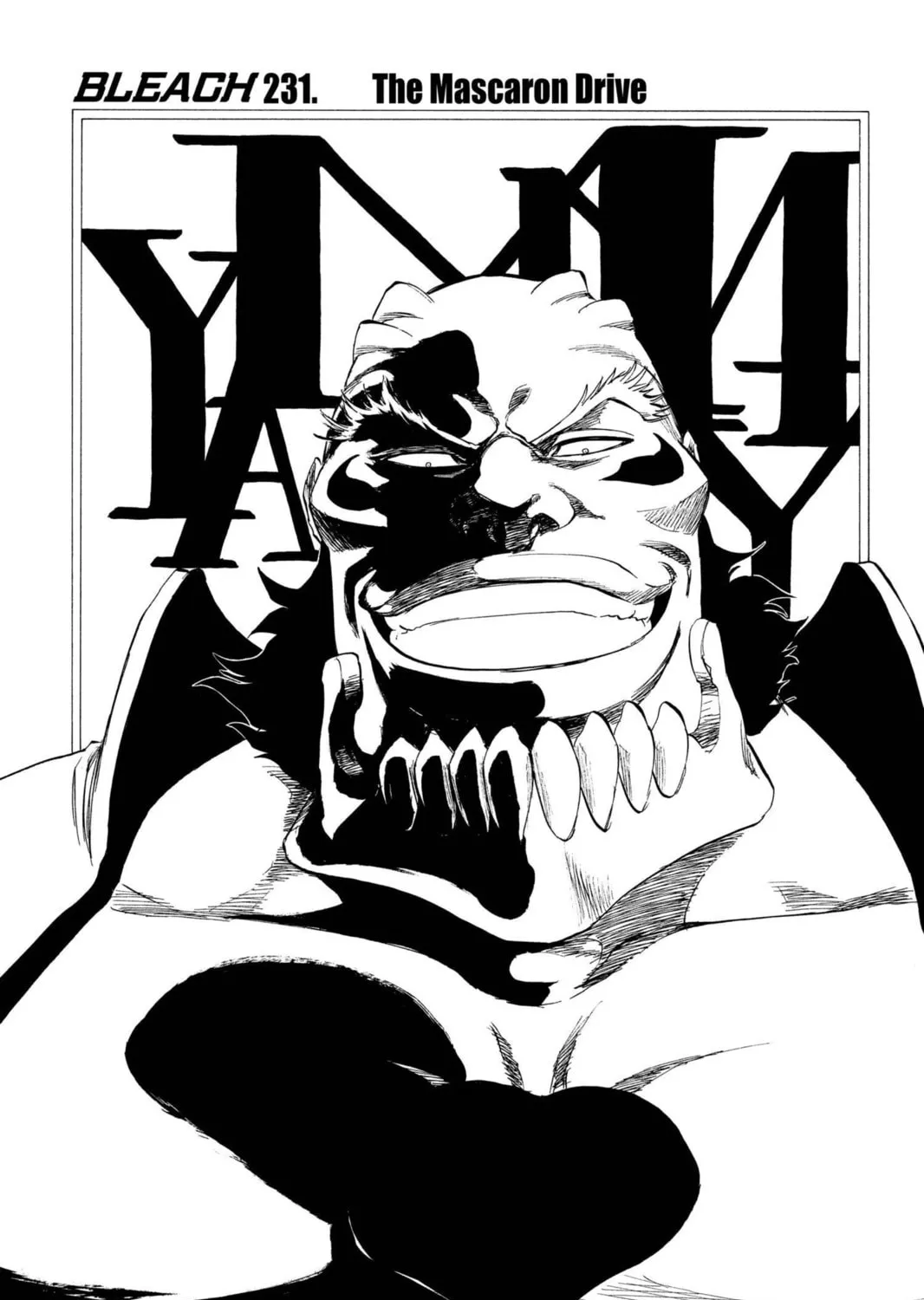 Read Bleach chapter 231 image 2 on Lezhin