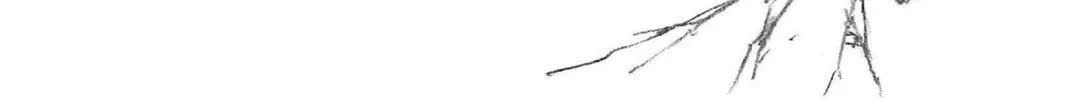 Read Bleach chapter 240 image 39 on Lezhin