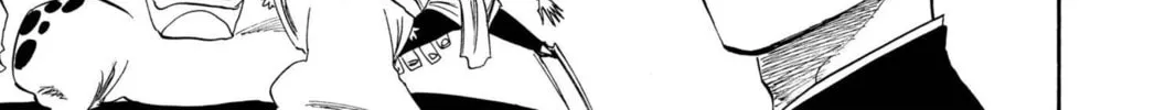 Read Bleach chapter 246 image 21 on Lezhin