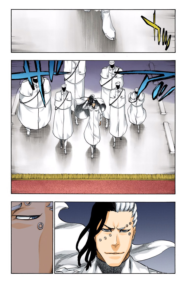 Read Bleach chapter 484 image 13 on Lezhin