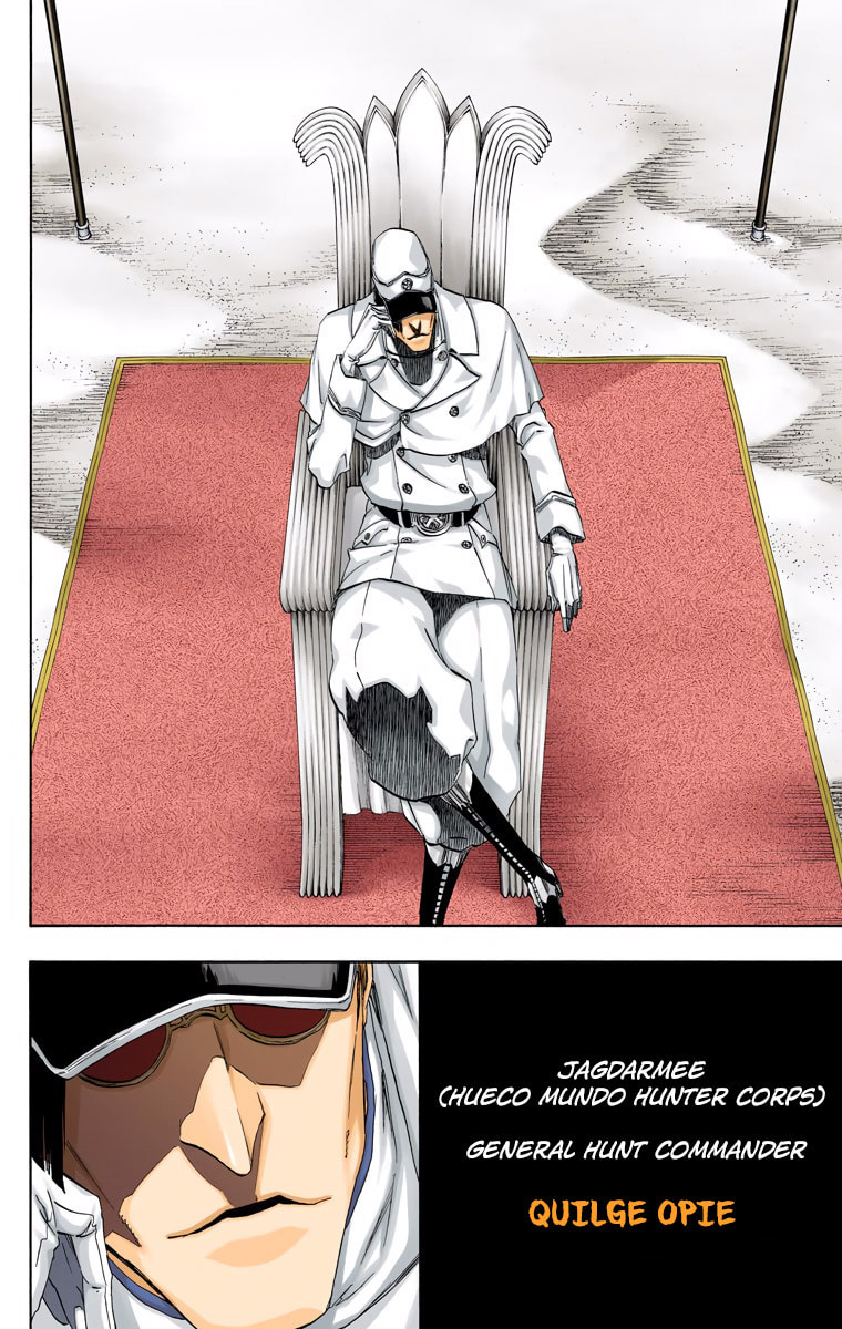 Read Bleach chapter 487 image 11 on Lezhin