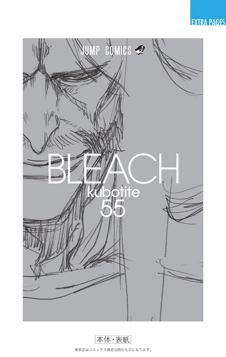 Read Bleach chapter 489 image 21 on Lezhin