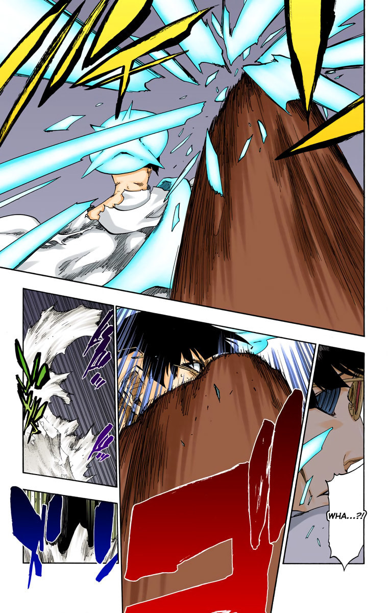 Read Bleach chapter 491 image 16 on Lezhin
