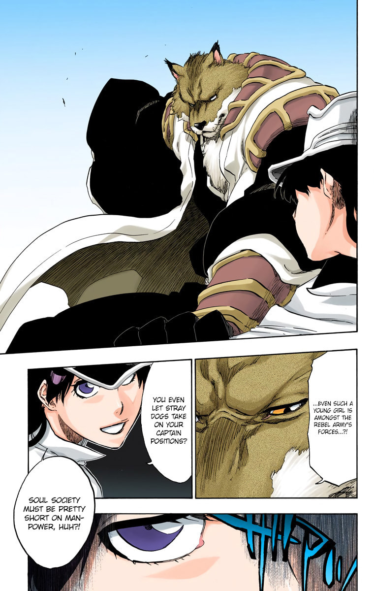 Read Bleach chapter 495 image 14 on Lezhin