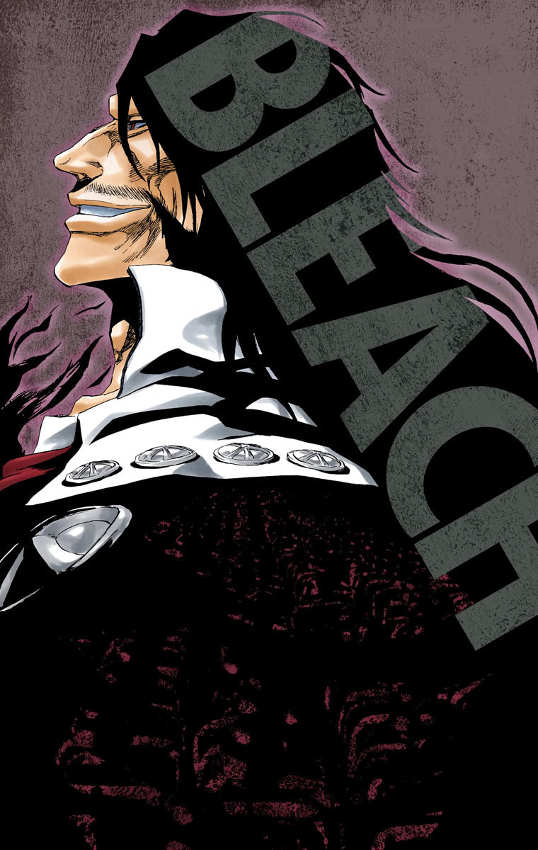 Read Bleach chapter 495 image 2 on Lezhin