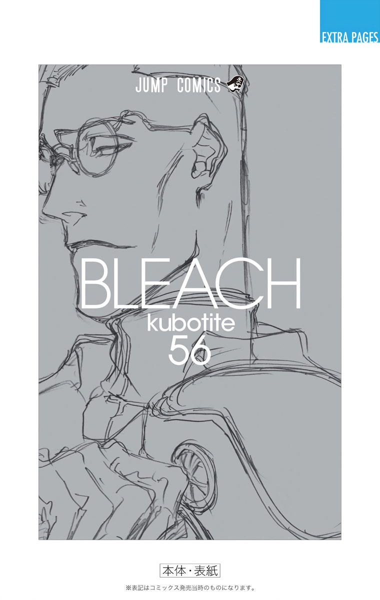 Read Bleach chapter 499 image 20 on Lezhin