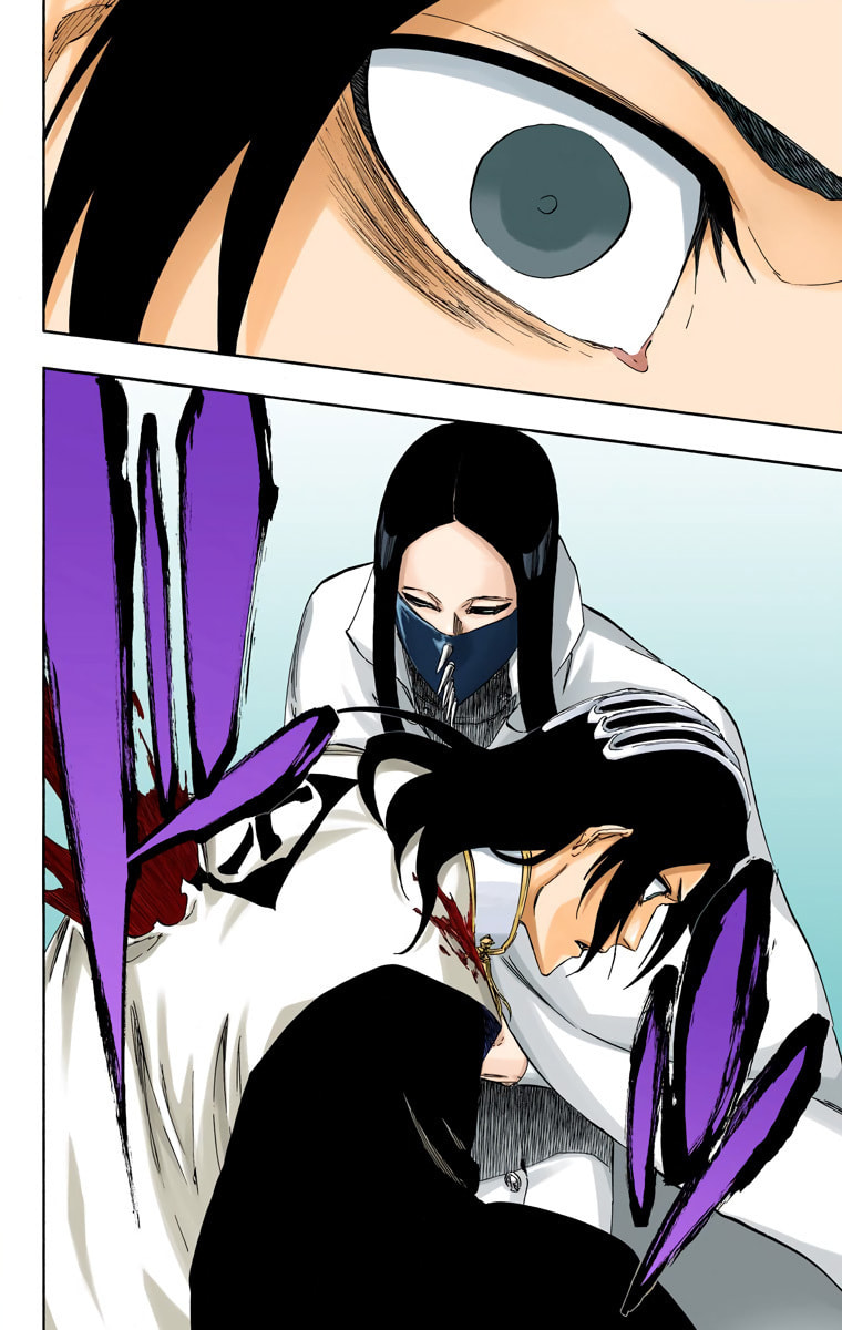 Read Bleach chapter 501 image 13 on Lezhin