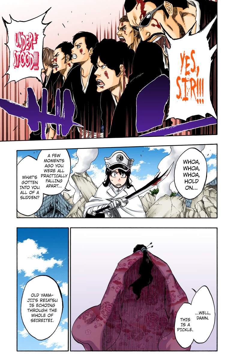 Read Bleach chapter 505 image 12 on Lezhin