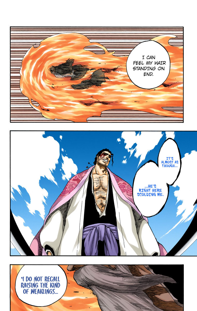 Read Bleach chapter 505 image 13 on Lezhin