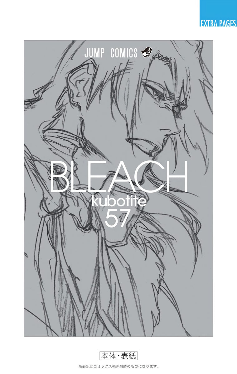 Read Bleach chapter 509 image 21 on Lezhin