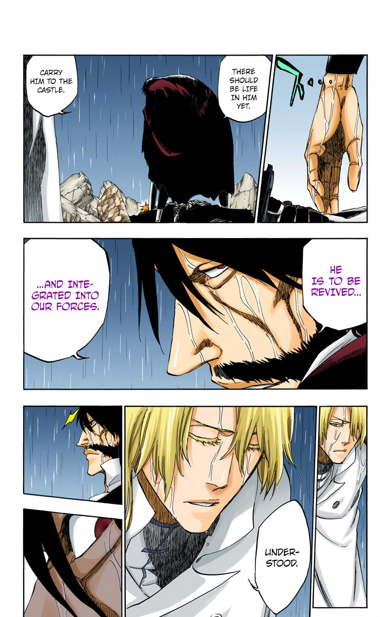 Read Bleach chapter 513 image 15 on Lezhin