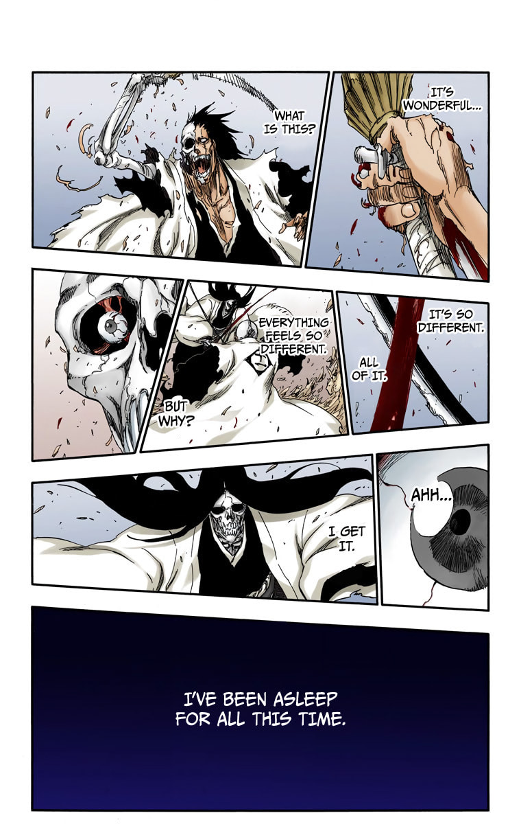 Read Bleach chapter 526 image 9 on Lezhin