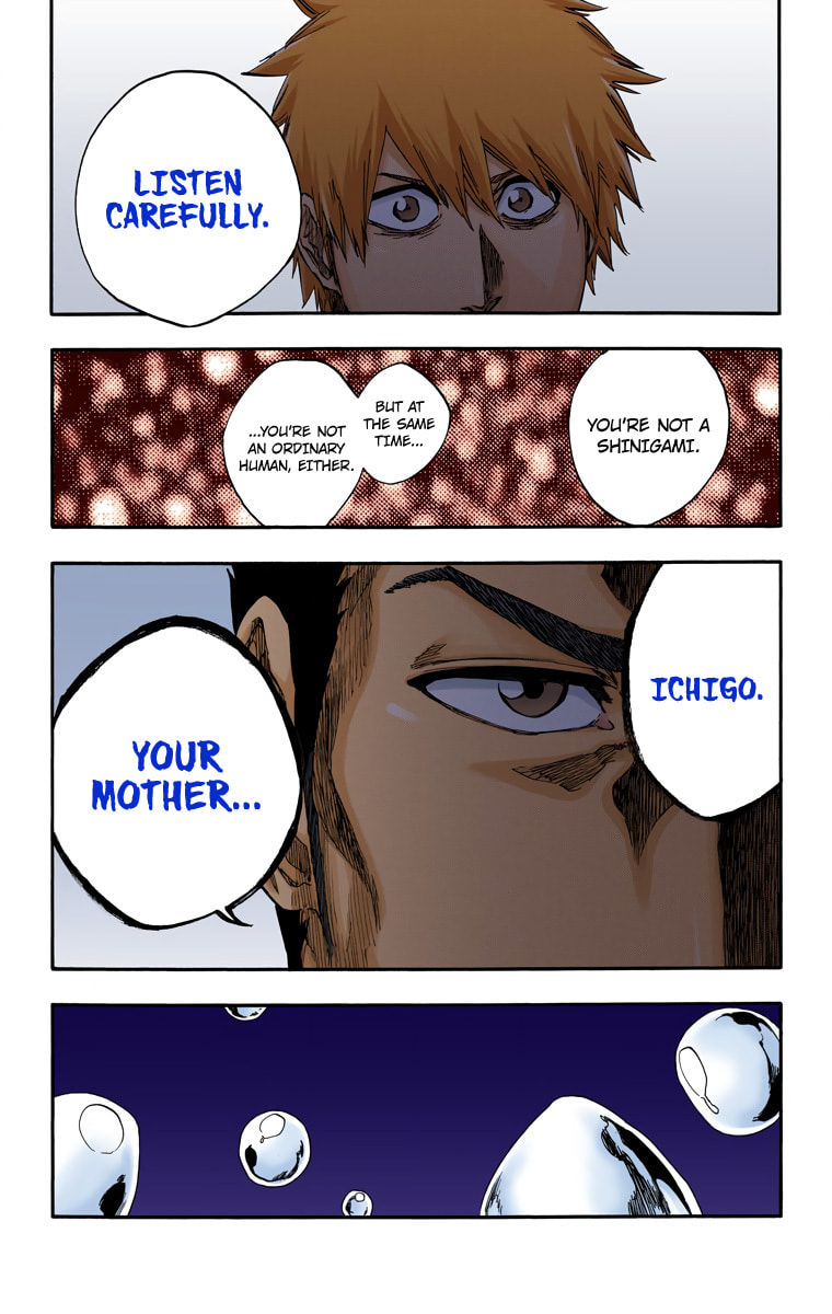 Read Bleach chapter 528 image 16 on Lezhin