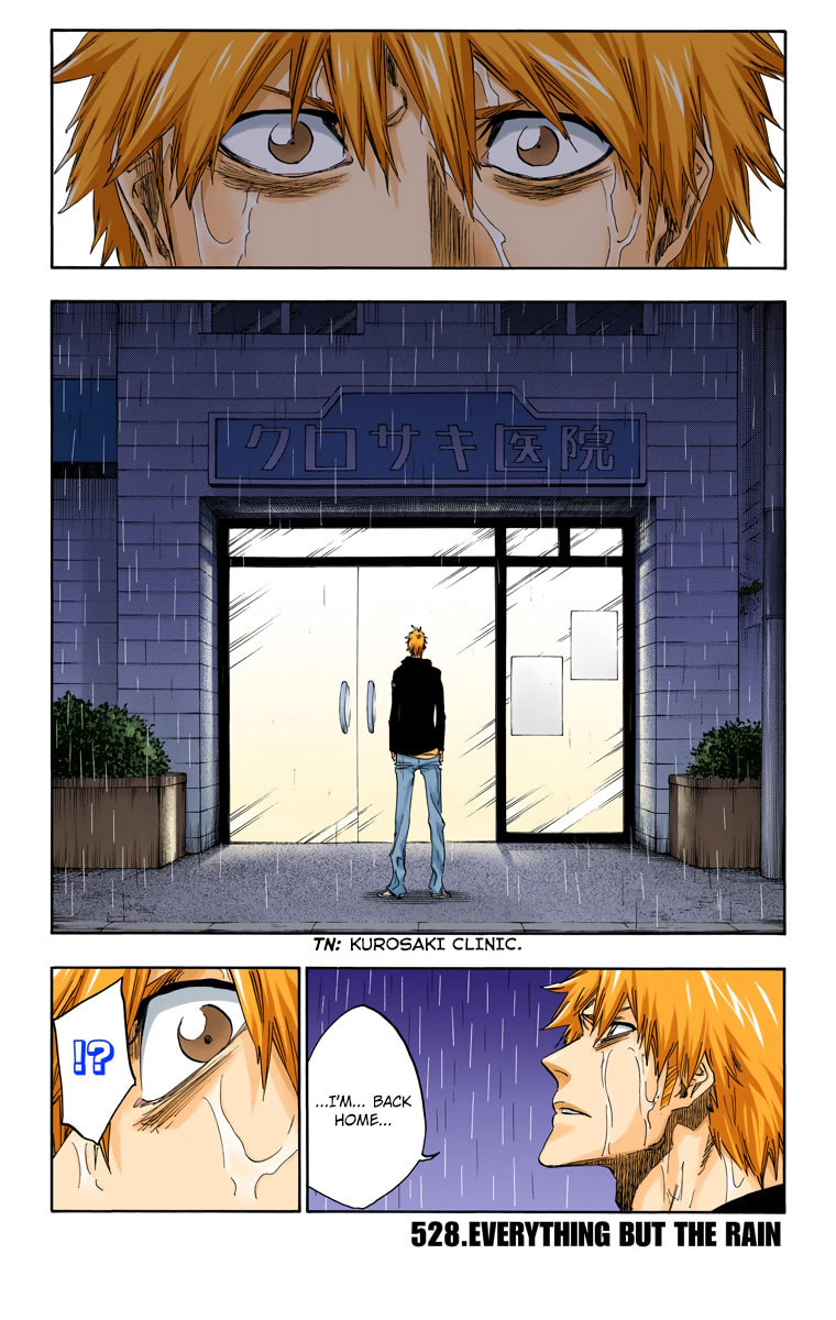 Read Bleach chapter 528 image 2 on Lezhin