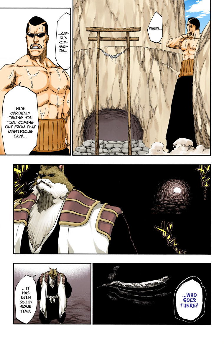Read Bleach chapter 538 image 15 on Lezhin