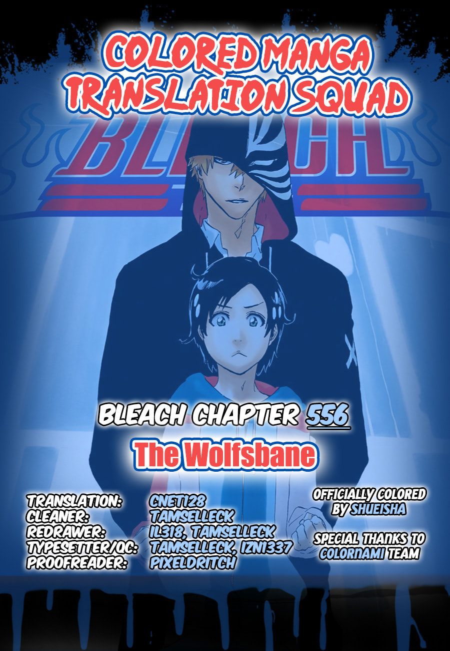 Read Bleach chapter 556 image 0 on Lezhin