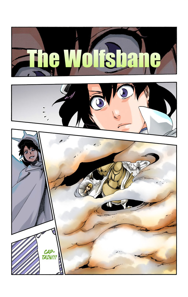 Read Bleach chapter 556 image 4 on Lezhin